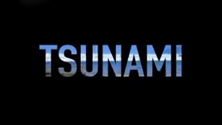 ФИЛЬМ КАТАСТРОФА БОЕВИК ЦУНАМИ   TSUNAMI 2005