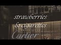 Strawberries &amp; Cigarettes - Troye Sivan (Lyrics)