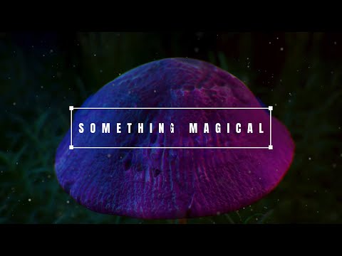 UNLOCKING HOUDINI: The YouTube Channel Launch is Complete!