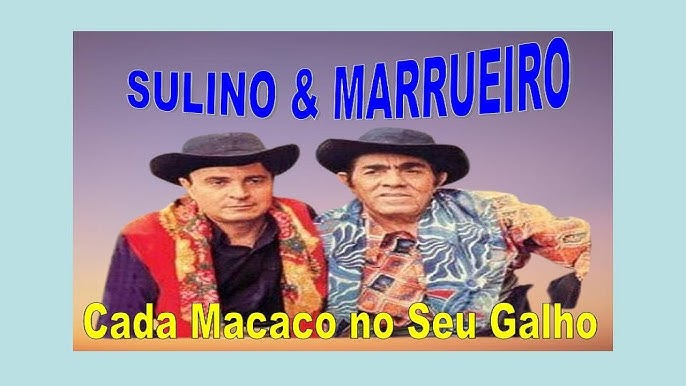 Oficial Resso de Laço de Ouro - Sulino E Marrueiro - Ouvir Música