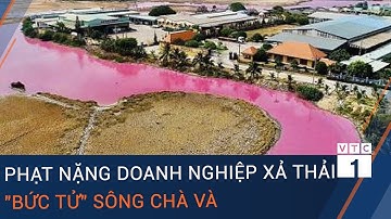 Bà Rịa - Vũng Tàu: Phạt nặng doanh nghiệp xả thải "bức tử" sông Chà Và | VTC1