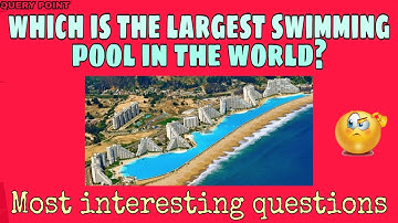 Which is the largest swimming pool in the world? | Top 10 Random questions | QUERY POINT