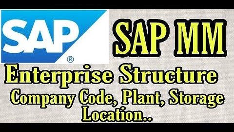 (11)Enterprise Structure In SAP MM | Company code, plant, storage location..