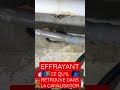 Vous n’en croirez pas vos yeux ! Ce qu’il retrouve est juste effrayant 😱 video dispo sur la chaîne