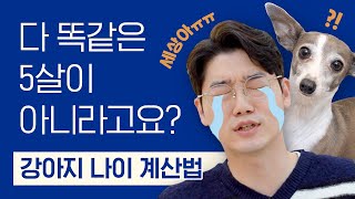 강아지 나이 계산법, 제대로 알고 계신가요? 강아지 크기마다 나이가 다르다? 🤔 | 설채현 행동학 수의사