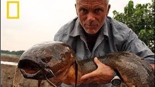 National Geographic Documentary Wild Hooked Nile Giant Nat Geo Wild