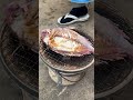 【七輪】今が旬のチダイ炭火焼きしたら絶品すぎた...！！ #shorts