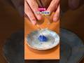 1万個に1個！？幻の青卵の作り方が簡単すぎた...
