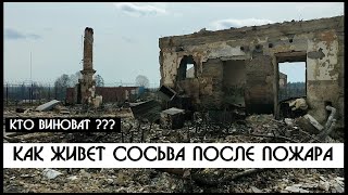 Сосьва-выжженная жизнь-кто виноват !? | Жизнь после пожара и реакция властей | КРИК-ТВ