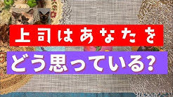 Lapi Rima Youtube Lapi Rima Youtube