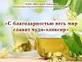 &quot;С благодарностью весь мир славит чудо эликсир&quot;