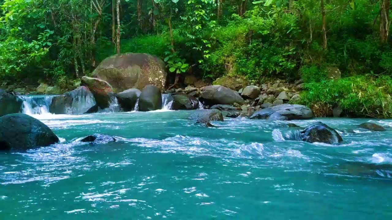 Ambient Water Sounds of a Flowing Stream | Nature White Noise for Sleep, Focus, and Healing
