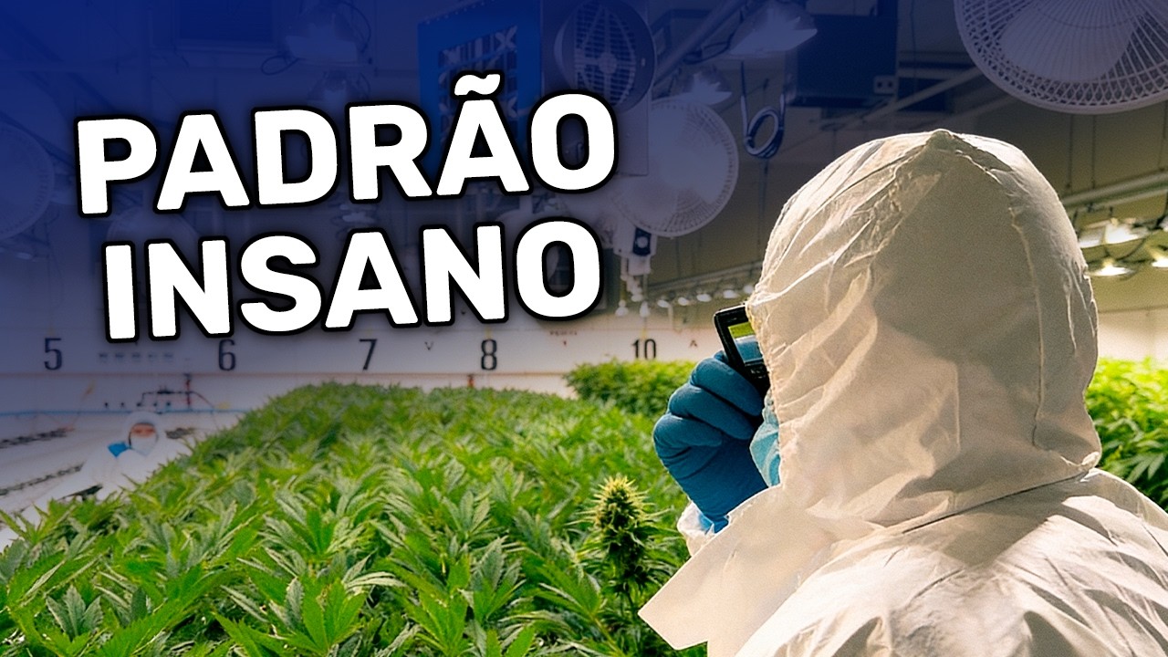 Uruguai já chegou no futuro da Cannabis? (e o Brasil ainda não)