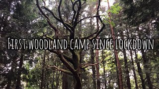 Social Distance Woodland Camp