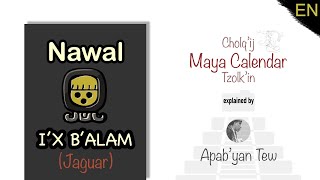 Maya Calendar Nawal I x B alam Jaguar Explained - Tzolkin
