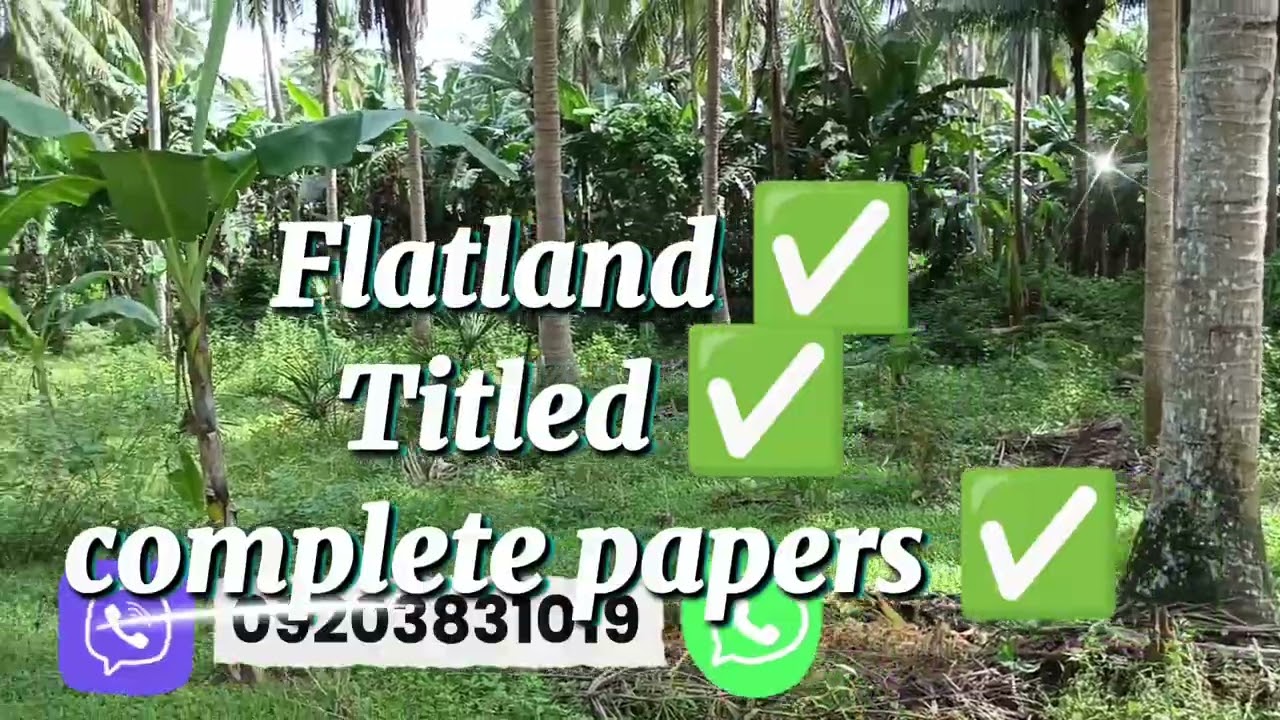 Lot#50 Napaka mura nito 50 pesos per sq.m 23has coconut farm