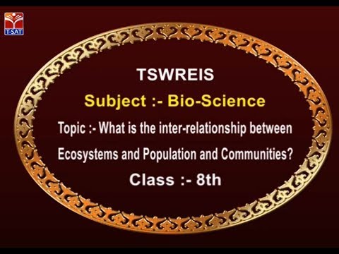 TSWREIS||What is the relationship between Ecosystems and Population and Communities ?|| Tejaswi upscale furniture stores