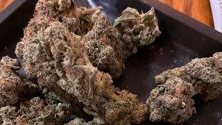 Exit420AZ is live! three grand amen lab smoke Sesh permanent marker! #viral #cannabiscommunity #cbd￼