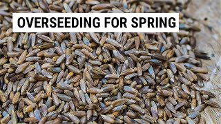 Why and How to Overseed Pastures screenshot 3