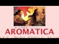 【PV】5/7(土)AROMATICA live at Kyoto"Kirsche(キルシェ)" feat. バーベQ和佐田 (from 爆風スランプ)