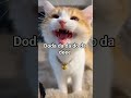 I'm inlove with you too🥹#catshorts #cat #catvideos #shortvideo #shorts #short #cutecat #cute #kitten