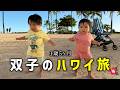 ハワイで双子の日常を観察してみた🏝️