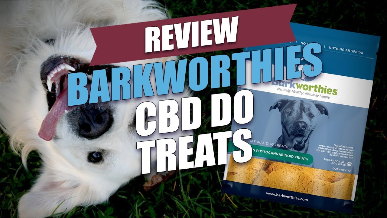 Barkworthies CBD Dog Treats Review (2018)
