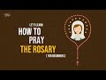 How to Pray the Rosary (Step-by-Step Guide) for Beginners