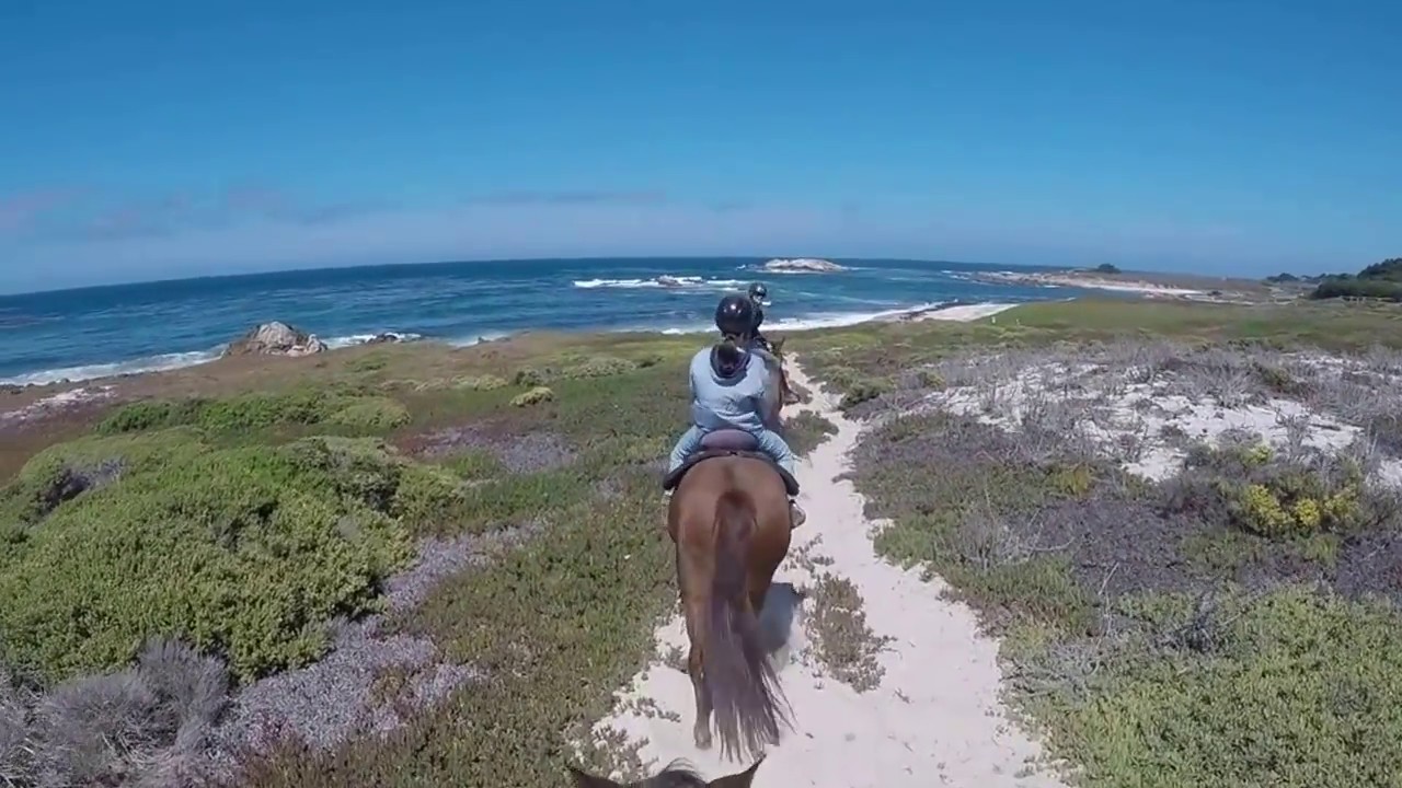 Horseback Riding At Pebble Beach Ca You Horseback Riding At Pebble Beach Ca