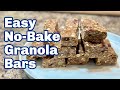 Simple Homemade Granola Bars