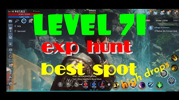 MIR4 | LEVEL 71 BEST EXP LEVELING SPOT 2022