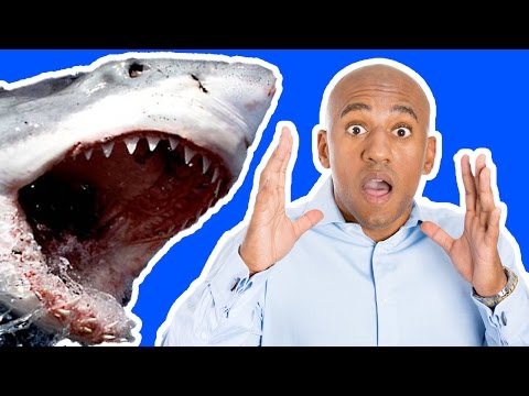 Su Altının En İlginç Ve En Devasa Canlıları