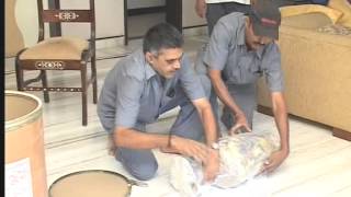 Professional Packing Services | Leo Packers and Movers