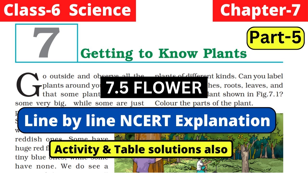 Getting to Know Plants | Class 6 Science Chapter 7 line by line NCERT ...