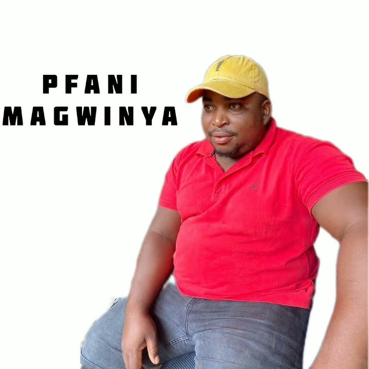 Ndi pota ngafhi Tour