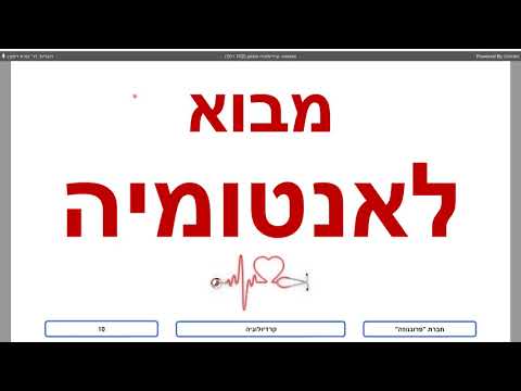 וִידֵאוֹ: מוצרים שימושיים לכלי דם ולב