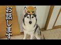 皆さまに重要なお知らせがあります...
