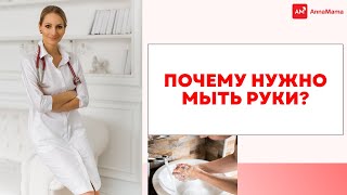 Почему нужно мыть руки?