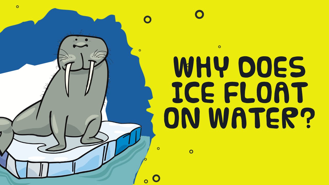 Ice Floats on Water. Ice Float on Water cartoon.