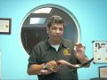 Easy to Blow Shofars and How to measure a Shofar Jose Escobar 28 inch Shofar English