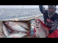 DAMING TIGUE-TIGUE MGA BAi😁( Day Fishing)