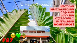 видео: 🪴#87 Местный «Ботанический Сад» или магазин ремонта и отделочных материалов HOME DEPOT ч.1. Любуемся картинка: 🪴#87 Местный «Ботанический Сад» или магазин ремонта и отделочных материалов HOME DEPOT ч.1. Любуемся