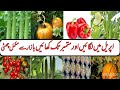 Seeds to sow in April &amp; May.Gardening for self_sufficiency and healthy competition.