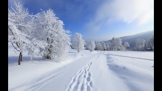 Тропинки засыпаны снегом