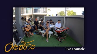 มะซังวะ - ดิด คิตตี้ (Acoustic Version)