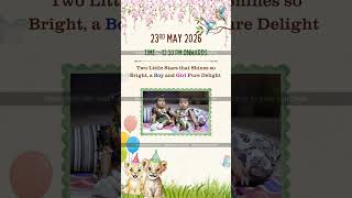     Welcome Naming Ceremony Invitation | Designed by Card Junction