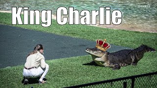 Charlie The New Proclaimed King Of The River | Australia Zoo