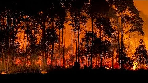 O que são nuvens Pirocumulonimbus e cumulonimbus?