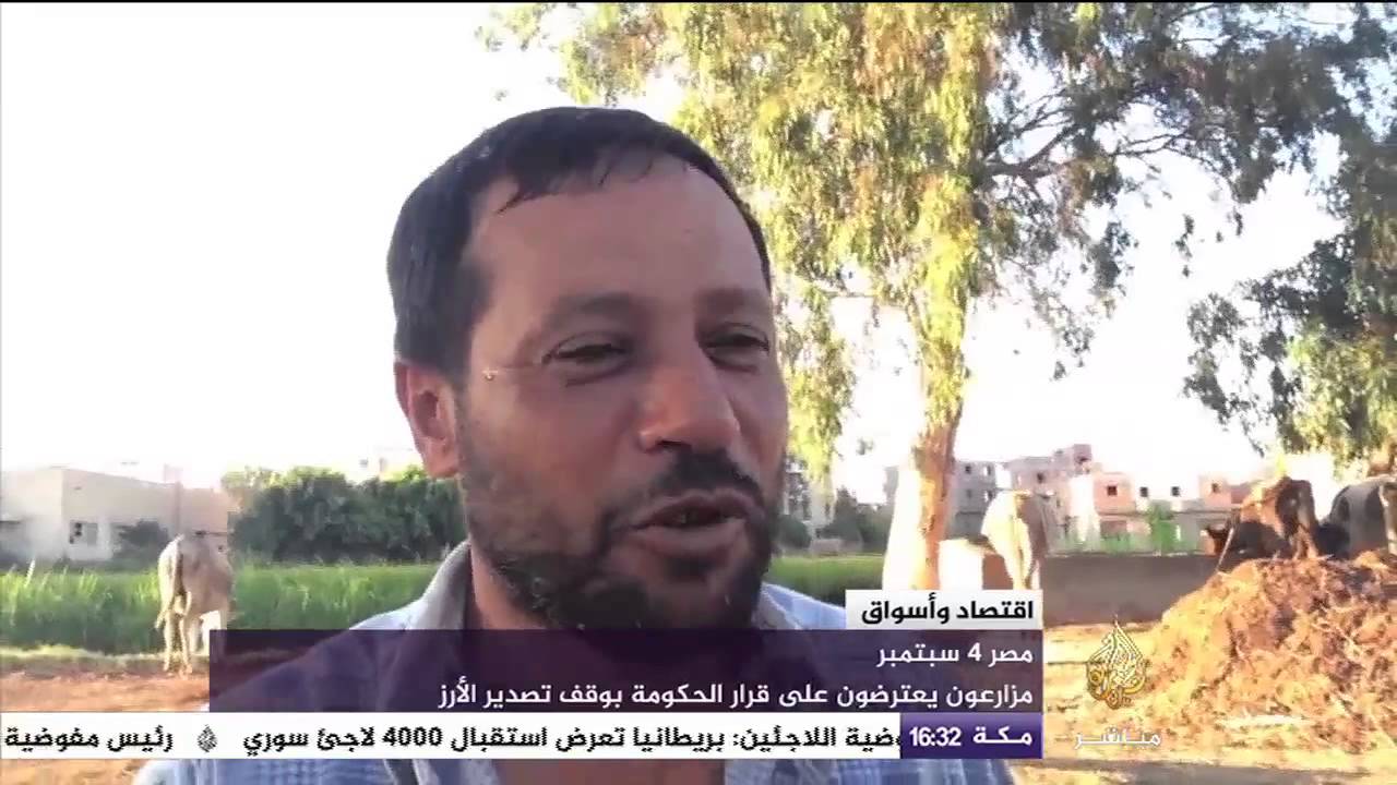 اقتصاد وأسواق .. مزارعون في مصر يعترضون على قرار الحكومة بوقف تصدير الأرز
