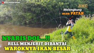 TIADA OBAT..!!Strike Ikan Besar Rell Menjerit Jerit Kuat Sampai Ngos Ngosan